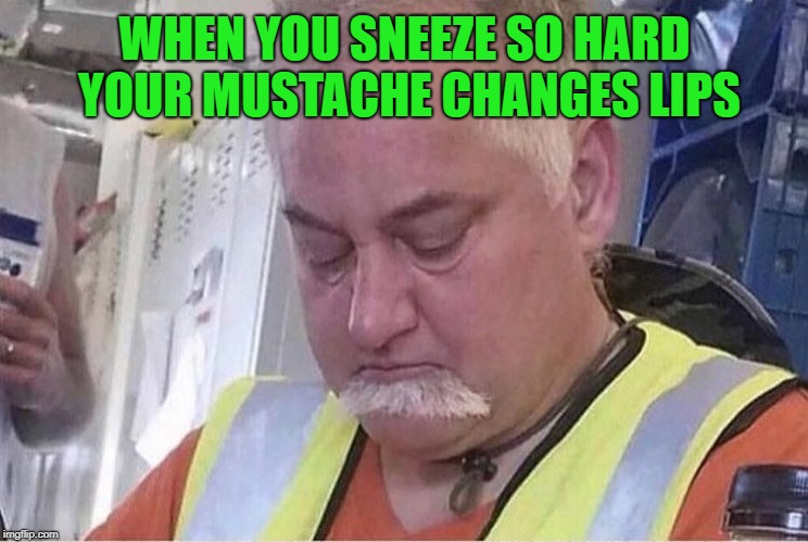 WHEN YOU SNEEZE SO HARD YOUR MUSTACHE CHANGES LIPS image tagged in mustache goatee,...