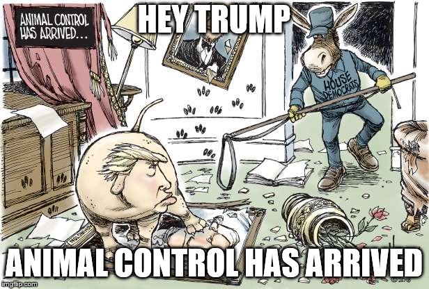 WooHoo! | HEY TRUMP; ANIMAL CONTROL HAS ARRIVED | image tagged in trump,democrats,political humor | made w/ Imgflip meme maker