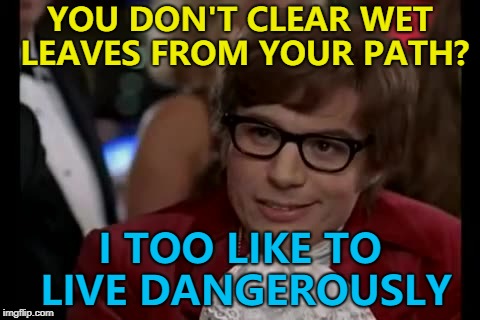 Clear all the leaves! :) | YOU DON'T CLEAR WET LEAVES FROM YOUR PATH? I TOO LIKE TO LIVE DANGEROUSLY | image tagged in memes,i too like to live dangerously,leaves,autumn | made w/ Imgflip meme maker