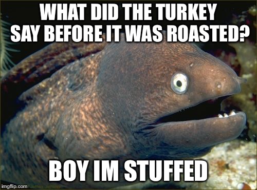 Bad Joke Eel Meme | WHAT DID THE TURKEY SAY BEFORE IT WAS ROASTED? BOY IM STUFFED | image tagged in memes,bad joke eel | made w/ Imgflip meme maker