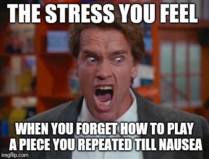I need to catch back my memories... | THE STRESS YOU FEEL; WHEN YOU FORGET HOW TO PLAY A PIECE YOU REPEATED TILL NAUSEA | image tagged in stress | made w/ Imgflip meme maker