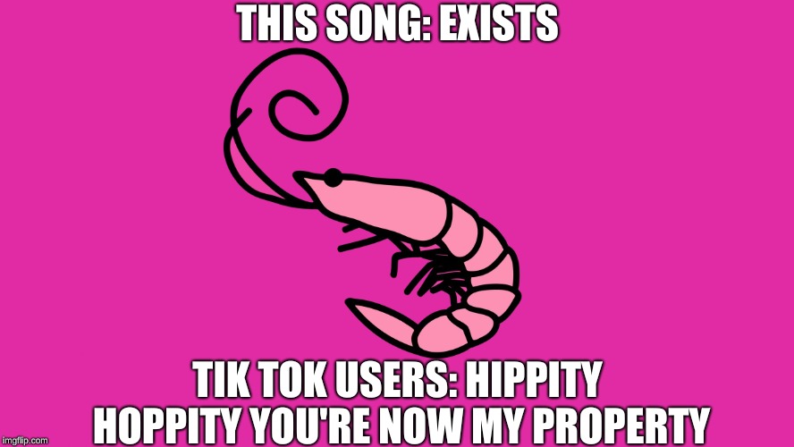 Flamingo Shrimp | THIS SONG: EXISTS; TIK TOK USERS: HIPPITY HOPPITY YOU'RE NOW MY PROPERTY | image tagged in flamingo shrimp | made w/ Imgflip meme maker