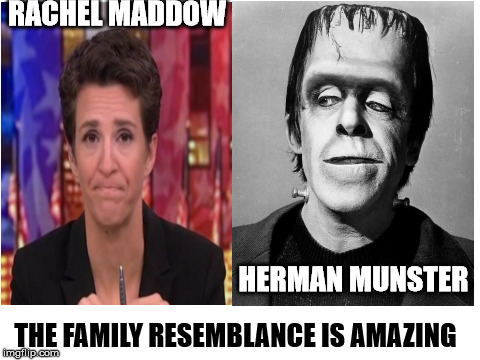 RACHEL MADDOW; HERMAN MUNSTER; THE FAMILY RESEMBLANCE IS AMAZING | image tagged in hermen and rachel | made w/ Imgflip meme maker