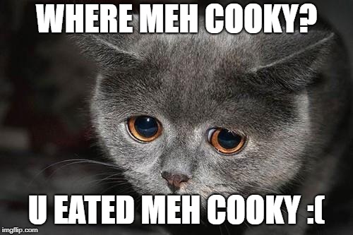 Meh cooky has been eated | WHERE MEH COOKY? U EATED MEH COOKY :( | image tagged in sad cat | made w/ Imgflip meme maker