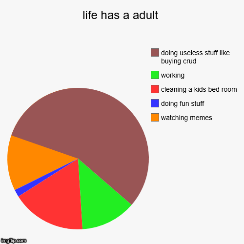 life has a adult | watching memes, doing fun stuff, cleaning a kids bed room, working, doing useless stuff like buying crud | image tagged in funny,pie charts | made w/ Imgflip chart maker