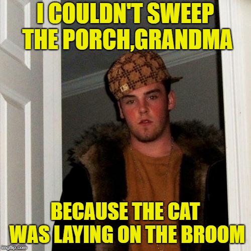 Scumbag Steve Meme | I COULDN'T SWEEP THE PORCH,GRANDMA BECAUSE THE CAT WAS LAYING ON THE BROOM | image tagged in memes,scumbag steve | made w/ Imgflip meme maker