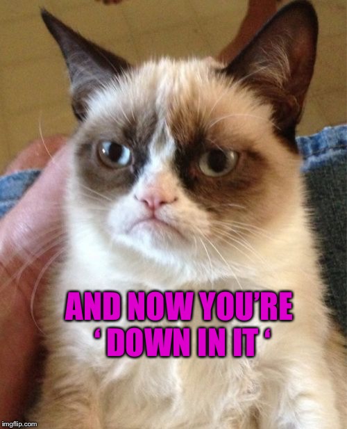 Grumpy Cat Meme | AND NOW YOU’RE ‘ DOWN IN IT ‘ | image tagged in memes,grumpy cat | made w/ Imgflip meme maker