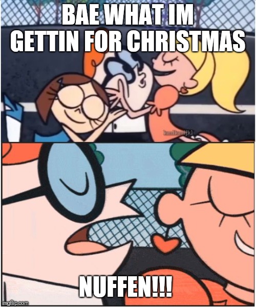 Dexters Lab | BAE WHAT IM GETTIN FOR CHRISTMAS; NUFFEN!!! | image tagged in dexters lab | made w/ Imgflip meme maker