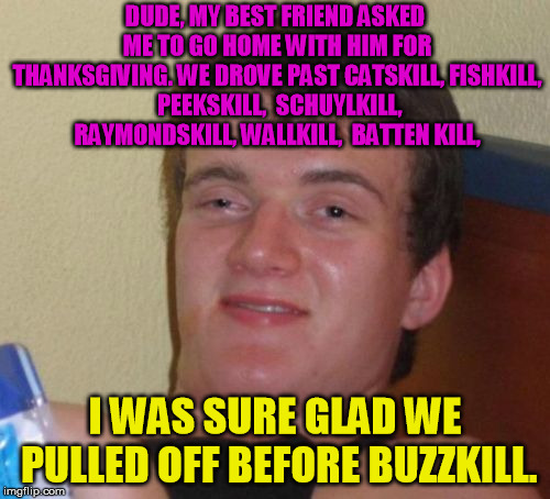 How I spent my Thanksgiving | DUDE, MY BEST FRIEND ASKED ME TO GO HOME WITH HIM FOR THANKSGIVING. WE DROVE PAST CATSKILL,
FISHKILL, 
PEEKSKILL, 
SCHUYLKILL, 
RAYMONDSKILL, WALLKILL, 
BATTEN KILL, I WAS SURE GLAD WE PULLED OFF BEFORE BUZZKILL. | image tagged in memes,10 guy | made w/ Imgflip meme maker