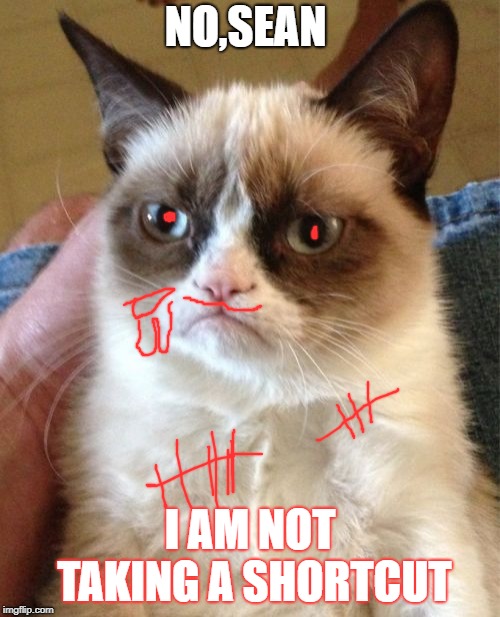 Grumpy Cat Meme | NO,SEAN; I AM NOT TAKING A SHORTCUT | image tagged in memes,grumpy cat | made w/ Imgflip meme maker