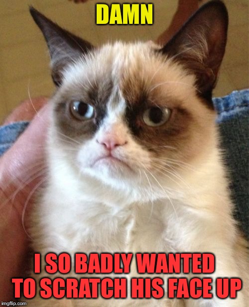 Grumpy Cat Meme | DAMN I SO BADLY WANTED TO SCRATCH HIS FACE UP | image tagged in memes,grumpy cat | made w/ Imgflip meme maker