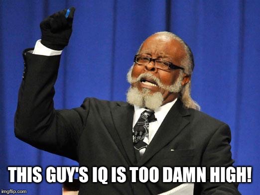 Too high guy | THIS GUY'S IQ IS TOO DAMN HIGH! | image tagged in too high guy | made w/ Imgflip meme maker