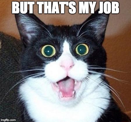 Surprised cat lol | BUT THAT'S MY JOB | image tagged in surprised cat lol | made w/ Imgflip meme maker
