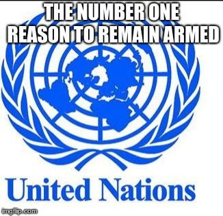 They do not now or ever will rule over US | THE NUMBER ONE REASON TO REMAIN ARMED | image tagged in united nations,worthless,ban the un,stay armed,2nd amendment | made w/ Imgflip meme maker
