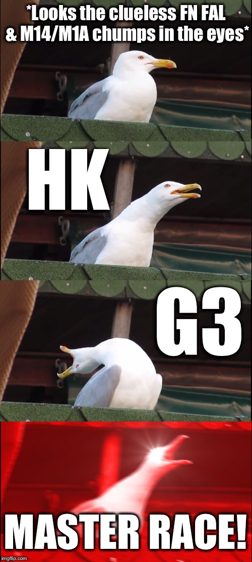 HK G3 - King of the Cold War | *Looks the clueless FN FAL & M14/M1A chumps in the eyes*; HK; G3; MASTER RACE! | image tagged in memes,inhaling seagull | made w/ Imgflip meme maker