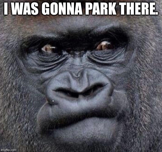 I WAS GONNA PARK THERE. | made w/ Imgflip meme maker