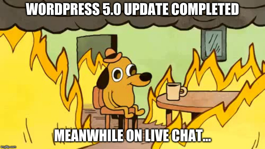 everythings-fine | WORDPRESS 5.0 UPDATE COMPLETED; MEANWHILE ON LIVE CHAT... | image tagged in everythings-fine | made w/ Imgflip meme maker