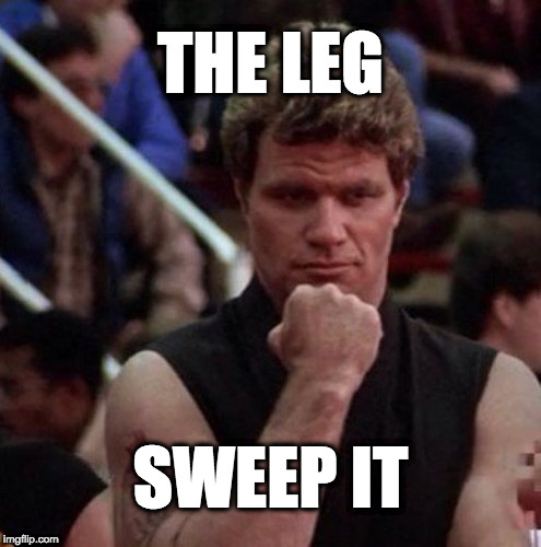 karate kid sweep the leg | THE LEG; SWEEP IT | image tagged in karate kid sweep the leg | made w/ Imgflip meme maker