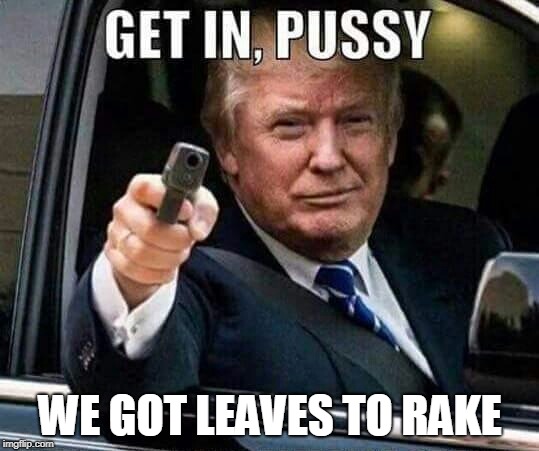 Make America Rake Again | WE GOT LEAVES TO RAKE | image tagged in donald trump get in pussy,makeamericarakeagain,rake,donald trump | made w/ Imgflip meme maker