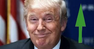 trump thanks you for your vote | image tagged in trump thanks you for your vote | made w/ Imgflip meme maker