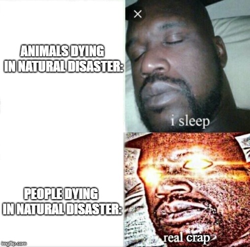 Sleeping Shaq | ANIMALS DYING IN NATURAL DISASTER:; PEOPLE DYING IN NATURAL DISASTER:; crap | image tagged in memes,sleeping shaq | made w/ Imgflip meme maker