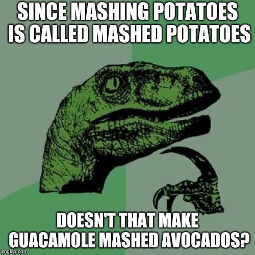 Philosoraptor | SINCE MASHING POTATOES IS CALLED MASHED POTATOES; DOESN'T THAT MAKE GUACAMOLE MASHED AVOCADOS? | image tagged in memes,philosoraptor | made w/ Imgflip meme maker