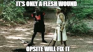 It's Just a Flesh Wound | IT'S ONLY A FLESH WOUND; OPSITE WILL FIX IT | image tagged in it's just a flesh wound | made w/ Imgflip meme maker