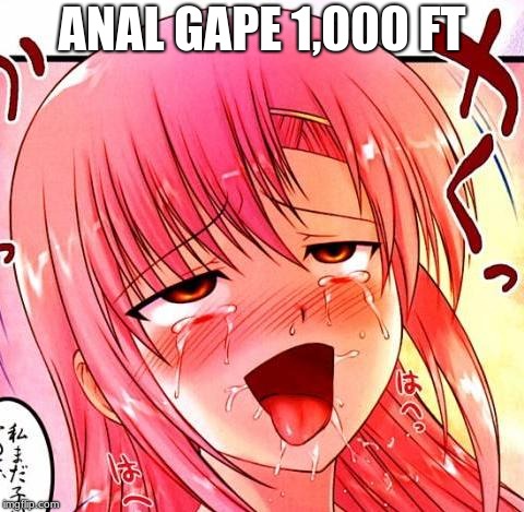 ANAL GAPE 1,000 FT | made w/ Imgflip meme maker