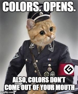 Grammar Nazi Cat | COLORS. OPENS. ALSO, COLORS DON'T COME OUT OF YOUR MOUTH | image tagged in grammar nazi cat | made w/ Imgflip meme maker