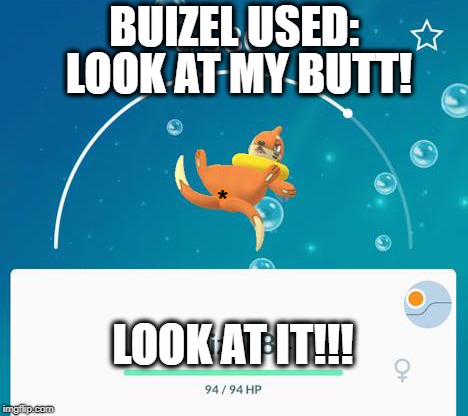 how was this included in a children's game? | BUIZEL USED:; LOOK AT MY BUTT! *; LOOK AT IT!!! | image tagged in pokemon go,buizel,look at my butt,look at it,pokemon | made w/ Imgflip meme maker