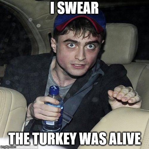 it was alive | I SWEAR; THE TURKEY WAS ALIVE | image tagged in funny memes | made w/ Imgflip meme maker
