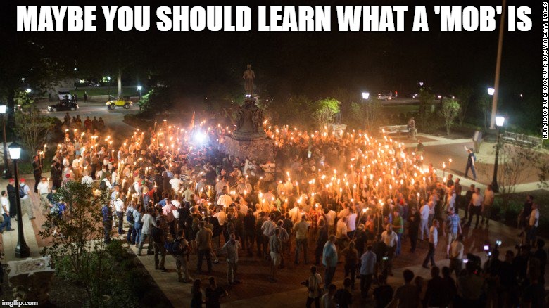 Too many Nazis | MAYBE YOU SHOULD LEARN WHAT A 'MOB' IS | image tagged in too many nazis | made w/ Imgflip meme maker