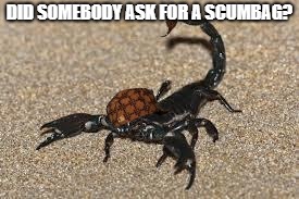 Scumbag Scorpion | DID SOMEBODY ASK FOR A SCUMBAG? | image tagged in scumbag scorpion | made w/ Imgflip meme maker
