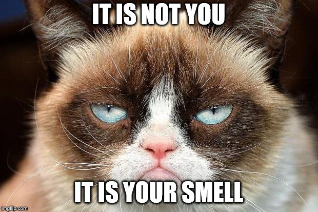 Grumpy Cat Not Amused | IT IS NOT YOU; IT IS YOUR SMELL | image tagged in memes,grumpy cat not amused,grumpy cat,funny memes,smell | made w/ Imgflip meme maker