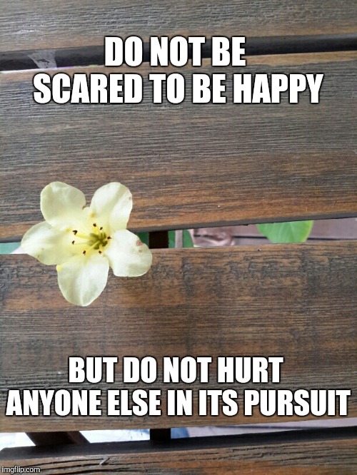 Sereia''s template | DO NOT BE SCARED TO BE HAPPY; BUT DO NOT HURT ANYONE ELSE IN ITS PURSUIT | image tagged in sereia''s template | made w/ Imgflip meme maker