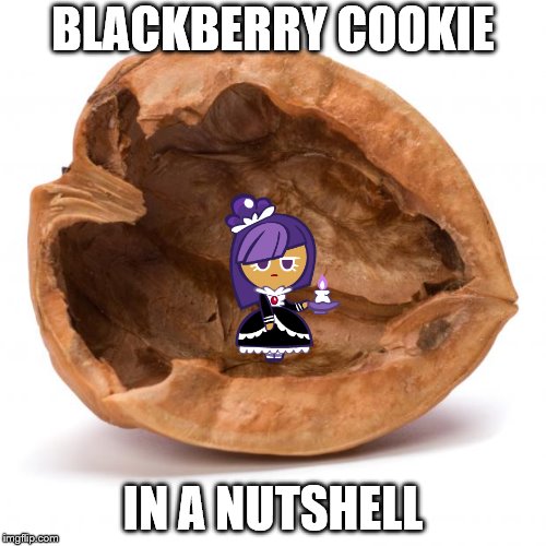 Nutshell | BLACKBERRY COOKIE; IN A NUTSHELL | image tagged in nutshell | made w/ Imgflip meme maker