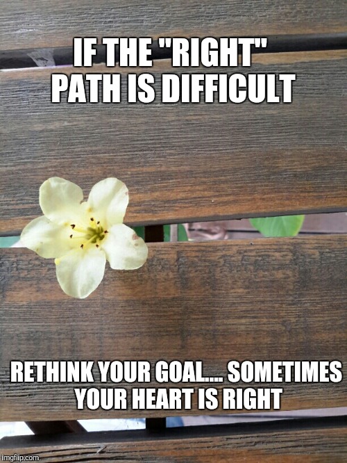 Sereia''s template | IF THE "RIGHT" PATH IS DIFFICULT; RETHINK YOUR GOAL....
SOMETIMES YOUR HEART IS RIGHT | image tagged in sereia''s template | made w/ Imgflip meme maker