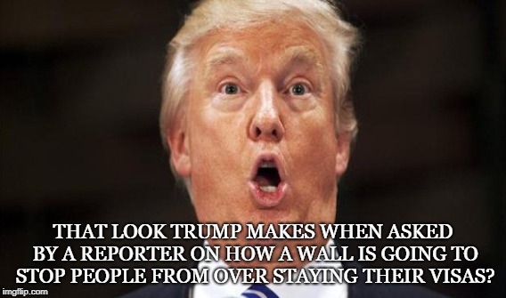 Confused State of Affairs | THAT LOOK TRUMP MAKES WHEN ASKED BY A REPORTER ON HOW A WALL IS GOING TO STOP PEOPLE FROM OVER STAYING THEIR VISAS? | image tagged in trump,border wall,visa,illegal,immigration,deport | made w/ Imgflip meme maker