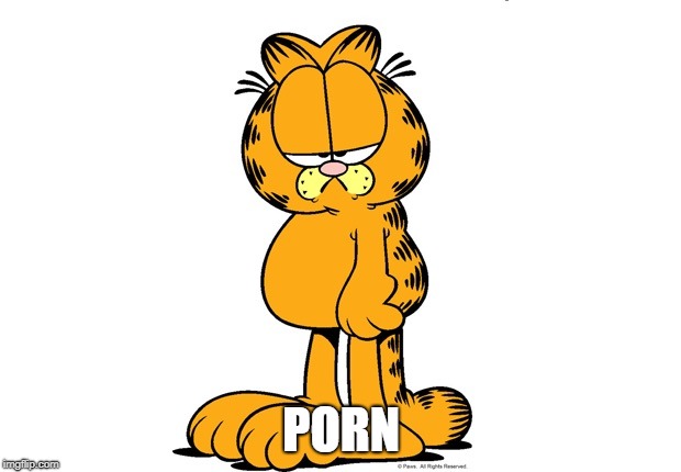 Grumpy Garfield | PORN | image tagged in grumpy garfield | made w/ Imgflip meme maker