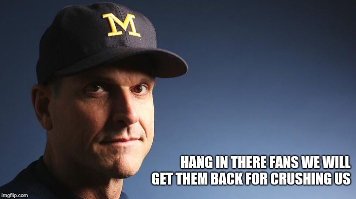Jim Harbaugh | HANG IN THERE FANS WE WILL GET THEM BACK FOR CRUSHING US | image tagged in jim harbaugh | made w/ Imgflip meme maker