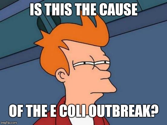 Futurama Fry Meme | IS THIS THE CAUSE OF THE E COLI OUTBREAK? | image tagged in memes,futurama fry | made w/ Imgflip meme maker