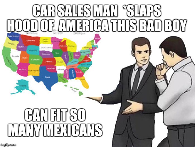 Car Salesman Slaps Hood Meme | CAR SALES MAN  *SLAPS HOOD OF  AMERICA THIS BAD BOY; CAN FIT SO MANY MEXICANS | image tagged in memes,car salesman slaps hood | made w/ Imgflip meme maker