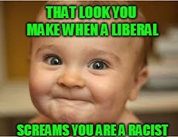 PROUD RACIST  | THAT LOOK YOU MAKE WHEN A LIBERAL; SCREAMS YOU ARE A RACIST | image tagged in liberal logic,liberals,white nationalism | made w/ Imgflip meme maker