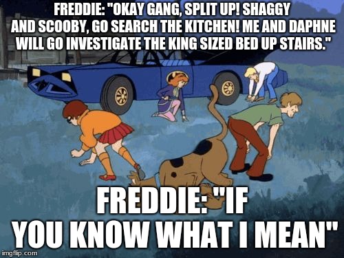 Scooby Doo Search | FREDDIE: "OKAY GANG, SPLIT UP! SHAGGY AND SCOOBY, GO SEARCH THE KITCHEN! ME AND DAPHNE WILL GO INVESTIGATE THE KING SIZED BED UP STAIRS."; FREDDIE: "IF YOU KNOW WHAT I MEAN" | image tagged in scooby doo search | made w/ Imgflip meme maker