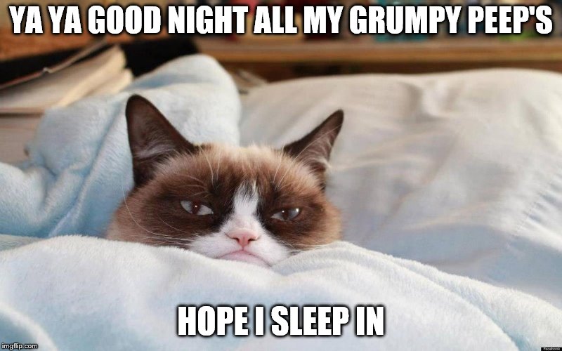 good night | YA YA GOOD NIGHT ALL MY GRUMPY PEEP'S; HOPE I SLEEP IN | image tagged in grumpy cat bed,good night,cat,grumpy,funny animals,funny memes | made w/ Imgflip meme maker