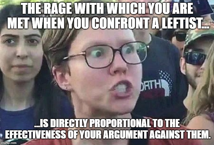 Triggered Liberal | THE RAGE WITH WHICH YOU ARE MET WHEN YOU CONFRONT A LEFTIST... ...IS DIRECTLY PROPORTIONAL TO THE EFFECTIVENESS OF YOUR ARGUMENT AGAINST THEM. | image tagged in triggered liberal | made w/ Imgflip meme maker