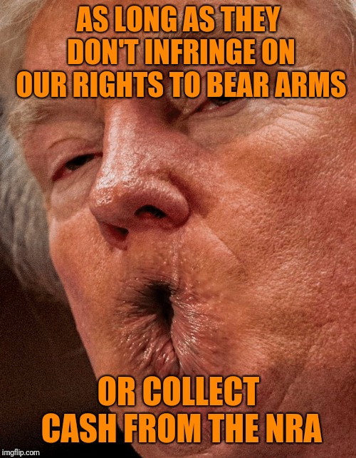 AS LONG AS THEY DON'T INFRINGE ON OUR RIGHTS TO BEAR ARMS OR COLLECT CASH FROM THE NRA | made w/ Imgflip meme maker