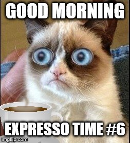 good morning | GOOD MORNING; EXPRESSO TIME #6 | image tagged in grumpy cat shocked,expresso,grumpy cat,funny meme,funny,good morning | made w/ Imgflip meme maker