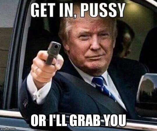 Donald Trump Get in pussy | OR I'LL GRAB YOU | image tagged in donald trump get in pussy | made w/ Imgflip meme maker