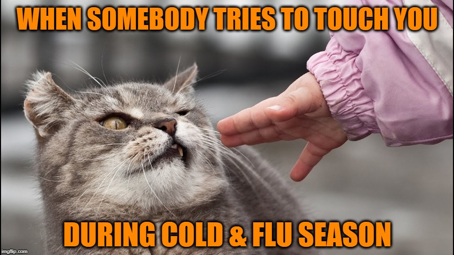 Stay back | WHEN SOMEBODY TRIES TO TOUCH YOU; DURING COLD & FLU SEASON | image tagged in funny memes,cat,cat meme,cold,flu,sick people | made w/ Imgflip meme maker